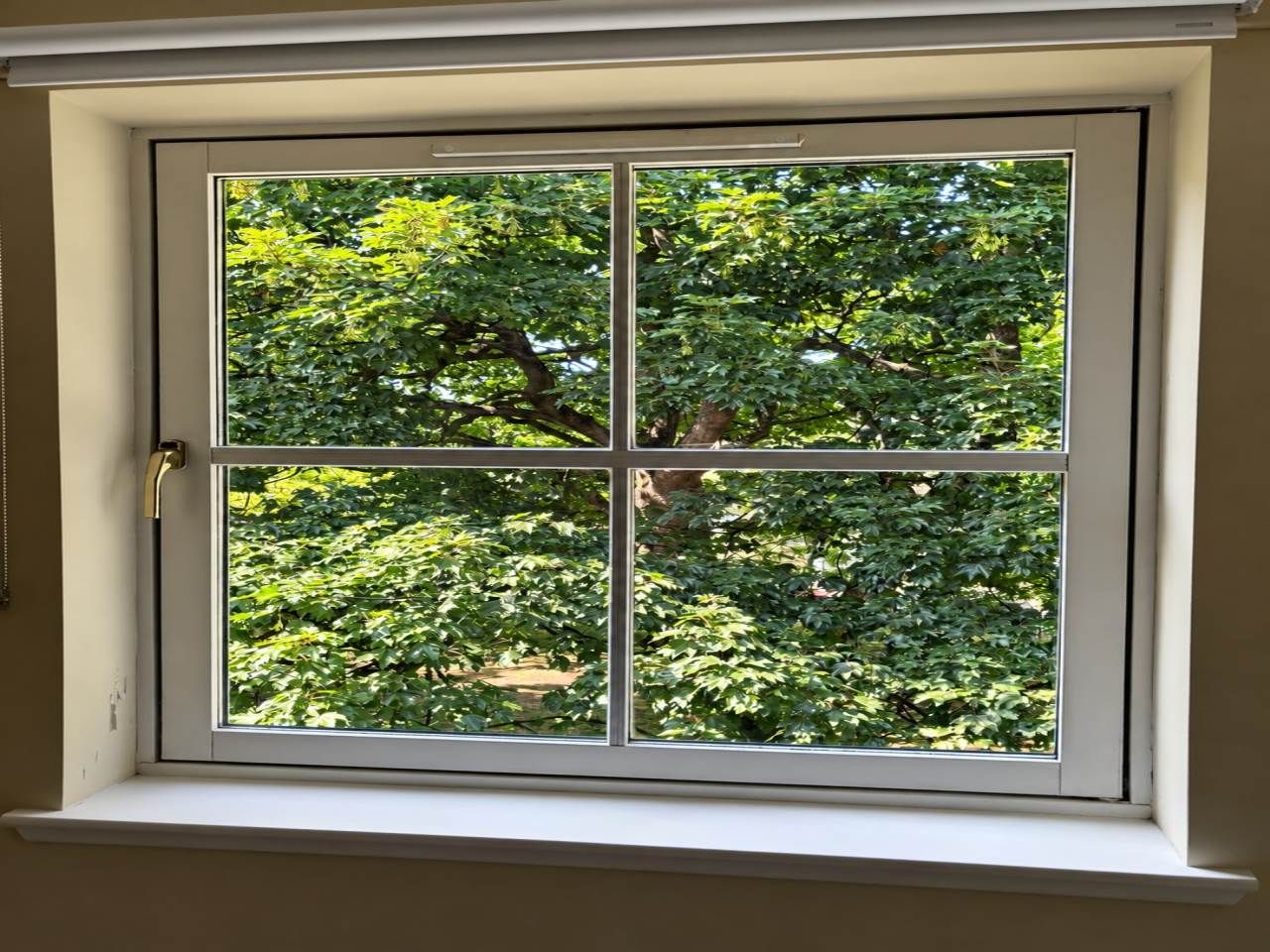 Window