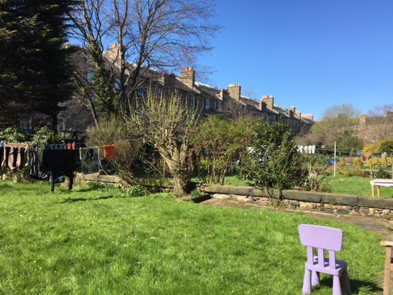 shared garden